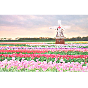 爸爸误食羊藿媳妇帮忙治病小说
